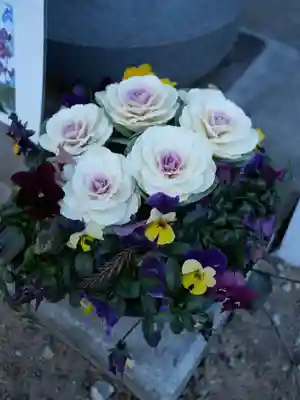 普門寺(切り絵御朱印発祥の寺)(愛知県)