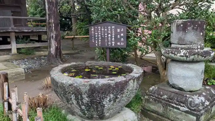 極楽寺(霊鷲山感應院極楽律寺)の手水舎