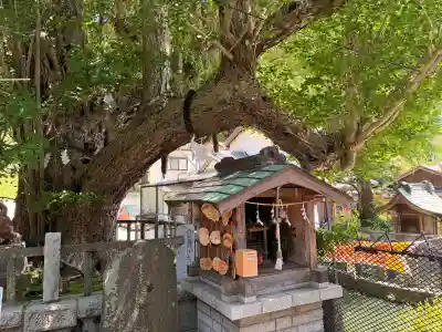 海南神社の{uncategorized: "未分類", other: "その他", undefined: "問題あり", building: "その他建物", grave: "お墓", sacred_gate: "鳥居", guardian: "狛犬", statue: "像", buddha: "仏像", history: "歴史", nature: "自然", garden: "庭園", animal: "動物", pagoda: "塔", temizu: "手水舎", mountain_gate: "山門・神門", sanctuary: "本殿・本堂", subordinate: "末社・摂社", art: "芸術", scenery: "景色", jizo: "地蔵", ema: "絵馬", goshuin: "御朱印", omikuji: "おみくじ", items: "授与品その他", amulet: "お守り", goshuincho: "御朱印帳", eats: "食事", festival: "お祭り", votive_dance: "神楽", shichigosan: "七五三参", wedding: "結婚式", experience: "体験その他", initially: "初詣", around: "周辺", anti_infection: "感染症対策"}