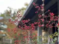 伊勢の国 四天王寺の自然