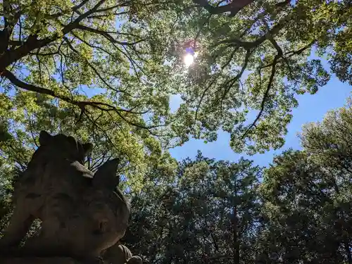 白山神社（二子町）の自然