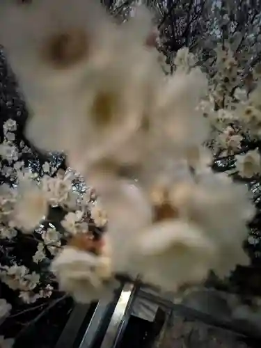 玉眞院玉川大師(東京都)