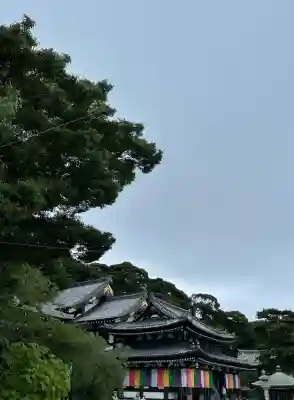 長谷寺の{uncategorized: "未分類", other: "その他", undefined: "問題あり", building: "その他建物", grave: "お墓", sacred_gate: "鳥居", guardian: "狛犬", statue: "像", buddha: "仏像", history: "歴史", nature: "自然", garden: "庭園", animal: "動物", pagoda: "塔", temizu: "手水舎", mountain_gate: "山門・神門", sanctuary: "本殿・本堂", subordinate: "末社・摂社", art: "芸術", scenery: "景色", jizo: "地蔵", ema: "絵馬", goshuin: "御朱印", omikuji: "おみくじ", items: "授与品その他", amulet: "お守り", goshuincho: "御朱印帳", eats: "食事", festival: "お祭り", votive_dance: "神楽", shichigosan: "七五三参", wedding: "結婚式", experience: "体験その他", initially: "初詣", around: "周辺", anti_infection: "感染症対策"}