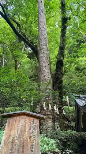 貴船神社奥宮(京都府)