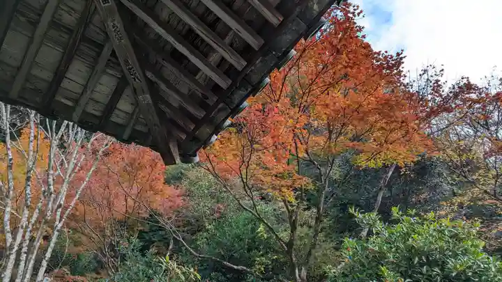 三室戸寺(京都府)