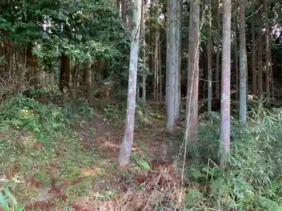月夜見神社の自然