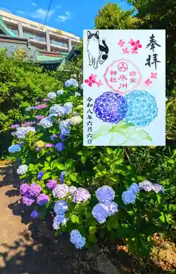 白金氷川神社の御朱印