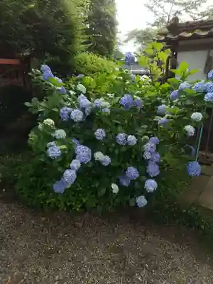柳沢寺(群馬県)