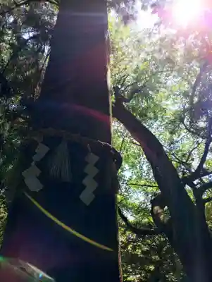 高尾山薬王院のその他建物