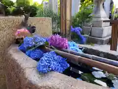 水堂須佐男神社の手水