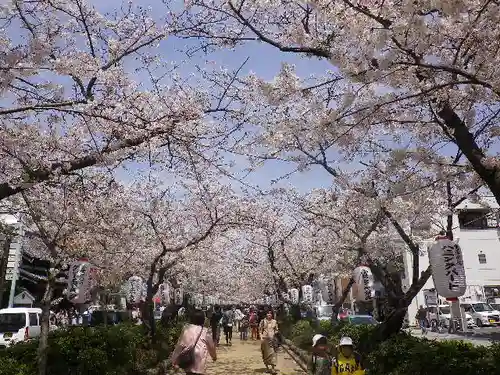 鶴岡八幡宮の自然