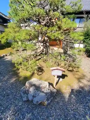 典厩寺(長野県)