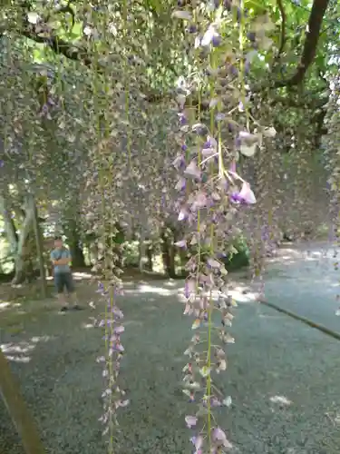 唐澤山神社(栃木県)