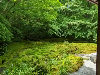 光明寺瑠璃光院(京都府)