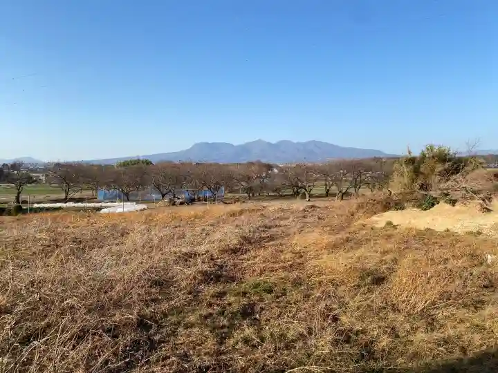 産泰神社の{uncategorized: "未分類", other: "その他", undefined: "問題あり", building: "その他建物", grave: "お墓", sacred_gate: "鳥居", guardian: "狛犬", statue: "像", buddha: "仏像", history: "歴史", nature: "自然", garden: "庭園", animal: "動物", pagoda: "塔", temizu: "手水舎", mountain_gate: "山門・神門", sanctuary: "本殿・本堂", subordinate: "末社・摂社", art: "芸術", scenery: "景色", jizo: "地蔵", ema: "絵馬", goshuin: "御朱印", omikuji: "おみくじ", items: "授与品その他", amulet: "お守り", goshuincho: "御朱印帳", eats: "食事", festival: "お祭り", votive_dance: "神楽", shichigosan: "七五三参", wedding: "結婚式", experience: "体験その他", initially: "初詣", around: "周辺", anti_infection: "感染症対策"}