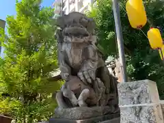 東神奈川熊野神社の狛犬