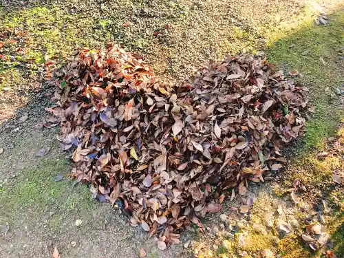川田八幡神社の自然