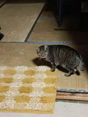 常光寺(長野県)