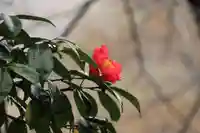 長屋神社の庭園