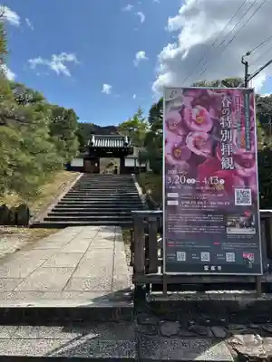 霊鑑寺門跡(京都府)