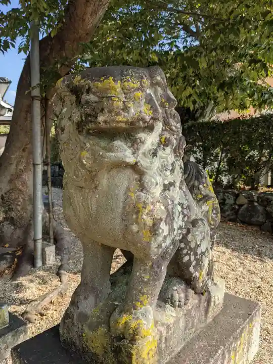 素戔嗚神社(大神神社境外末社)の狛犬