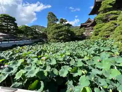 善光寺大勧進(長野県)