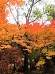 仁比山神社の自然