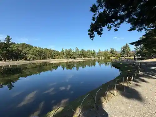 毛越寺(岩手県)