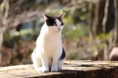 玉野御嶽神社(愛知県)