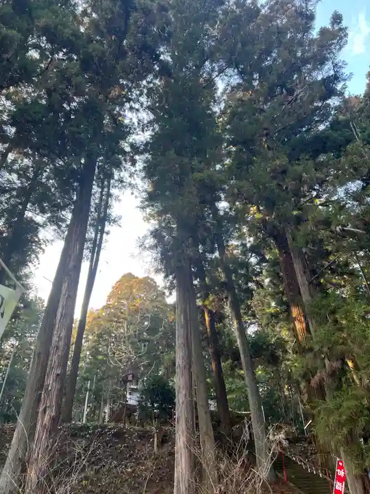 大宮温泉神社(栃木県)