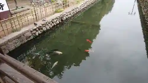 鑁阿寺(栃木県)