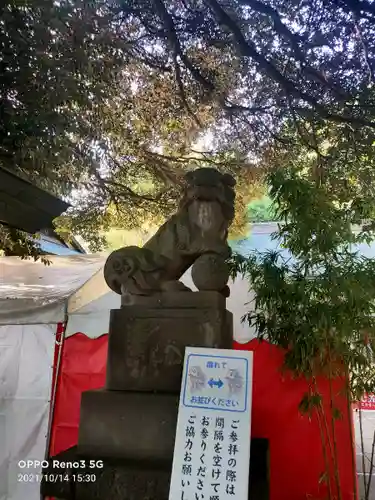 太子堂八幡神社の狛犬