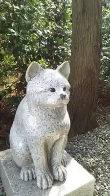 座間神社の狛犬