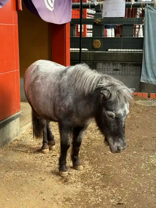 神田神社(神田明神)の{uncategorized: "未分類", other: "その他", undefined: "問題あり", building: "その他建物", grave: "お墓", sacred_gate: "鳥居", guardian: "狛犬", statue: "像", buddha: "仏像", history: "歴史", nature: "自然", garden: "庭園", animal: "動物", pagoda: "塔", temizu: "手水舎", mountain_gate: "山門・神門", sanctuary: "本殿・本堂", subordinate: "末社・摂社", art: "芸術", scenery: "景色", jizo: "地蔵", ema: "絵馬", goshuin: "御朱印", omikuji: "おみくじ", items: "授与品その他", amulet: "お守り", goshuincho: "御朱印帳", eats: "食事", festival: "お祭り", votive_dance: "神楽", shichigosan: "七五三参", wedding: "結婚式", experience: "体験その他", initially: "初詣", around: "周辺", anti_infection: "感染症対策"}