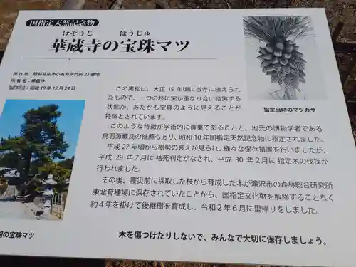 華蔵寺(岩手県)