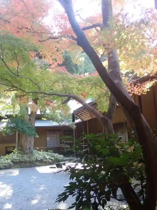 杉本寺(神奈川県)