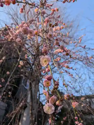 蓮華寺(東京都)