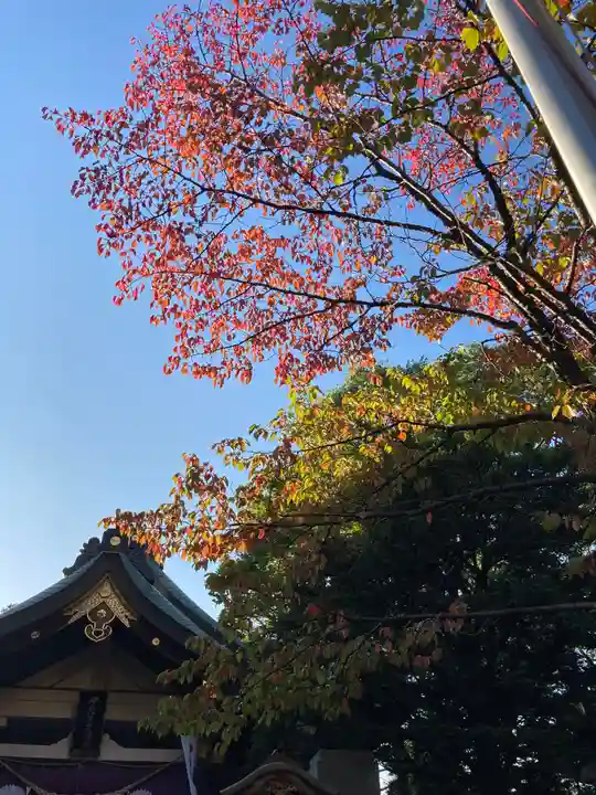彌彦神社 (伊夜日子神社)の本殿・本堂