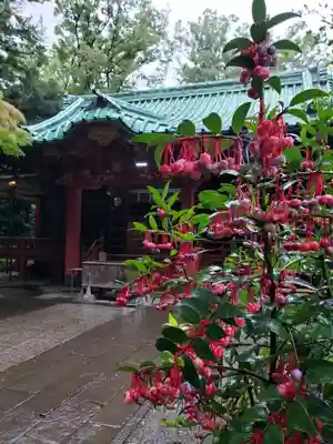 赤坂氷川神社の本殿・本堂