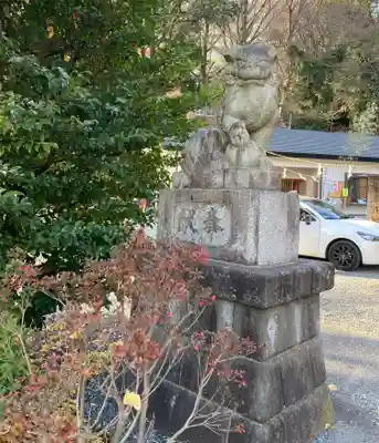 武州白子熊野神社(埼玉県)