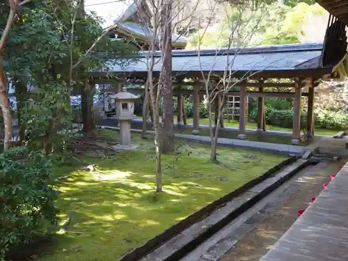 龍安寺の庭園