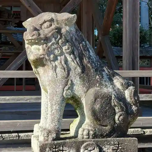 愛宕神社の狛犬