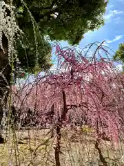 城南宮(京都府)