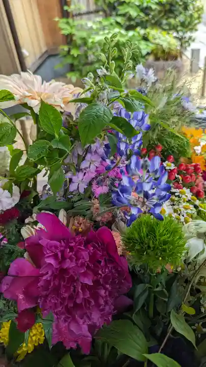 勝林寺(京都府)