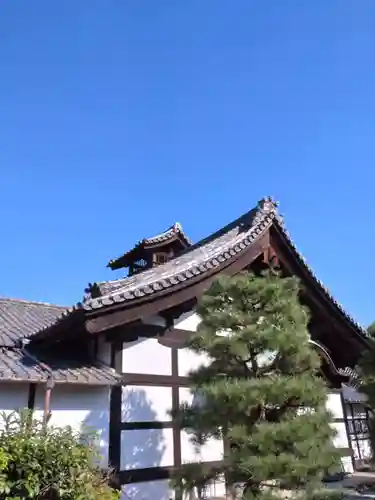 隨心院（随心院）(京都府)