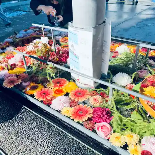 武蔵野坐令和神社(埼玉県)