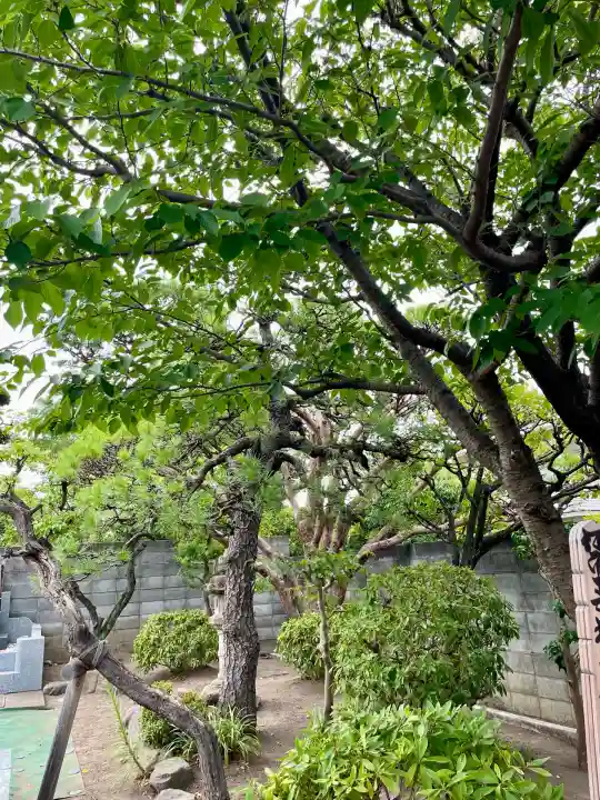 大運寺(神奈川県)