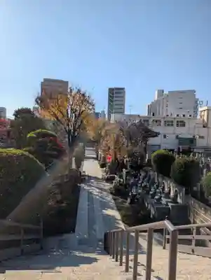 錫杖寺(埼玉県)