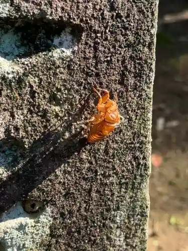 大宮諏訪神社(長野県)