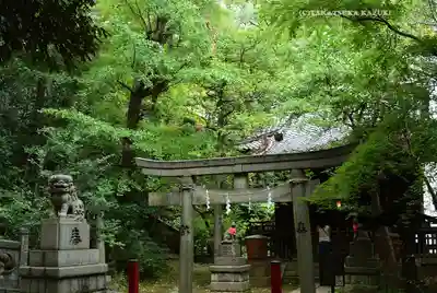 赤坂氷川神社(東京都)